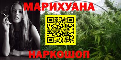 дмт Дубна