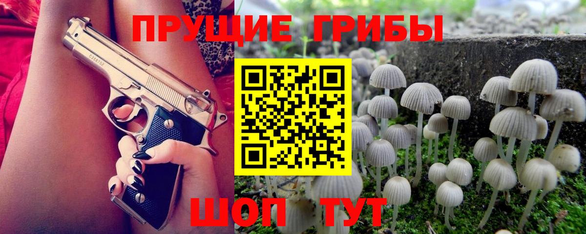 Миллерово  Галлюциногенные грибы Magic Shrooms  Вход с VPN  Псилоцибиновые грибы GOLDEN TEACHER 
