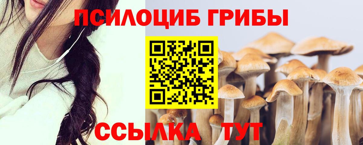 Галлюциногенные грибы мухоморы Миллерово